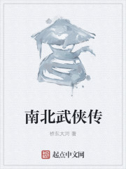 南北武侠传